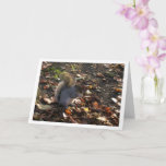 Squirrel in Leaves Kaart<br><div class="desc">Squirrel in Leaves Greeting Card. You can easily customize this product for free if you would like to add wording or change the color of the background.</div>