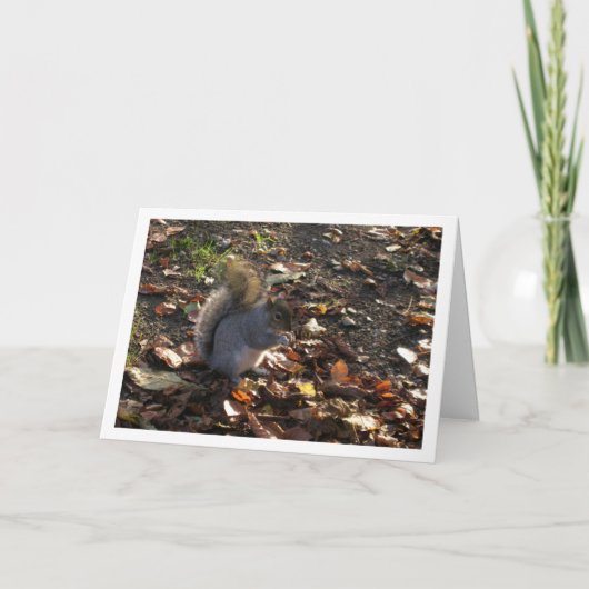 Squirrel in Leaves Kaart (Voorkant)