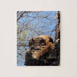 Squirrel Jigzaag Puzzle Legpuzzel