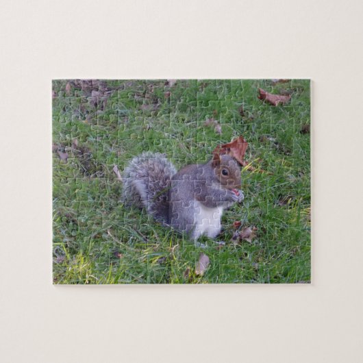 Squirrel Jigzaag Puzzle Legpuzzel (Horizontaal)