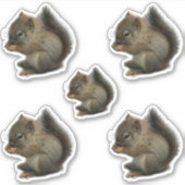 Squirrel Kitten Stickers (Voorkant)