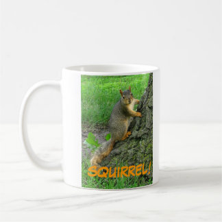 SQUIRREL! KOFFIEMOK