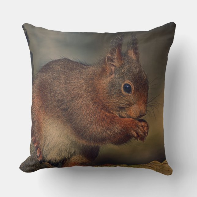 Squirrel Kussen (Voorkant)