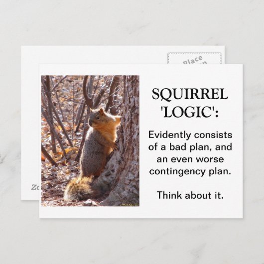 Squirrel Logic Briefkaart (Voorkant / Achterkant)