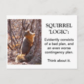 Squirrel Logic Briefkaart (Voorkant)