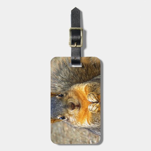 Squirrel Love_ Bagagelabel (Voorkant verticaal)