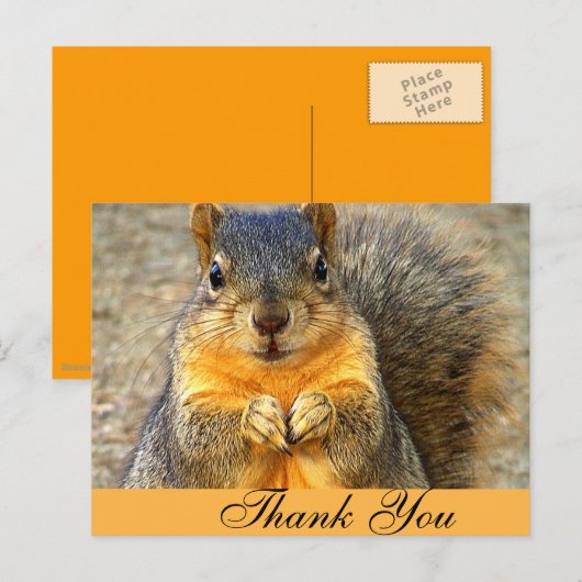Squirrel Love_ Briefkaart (Voorkant / Achterkant)