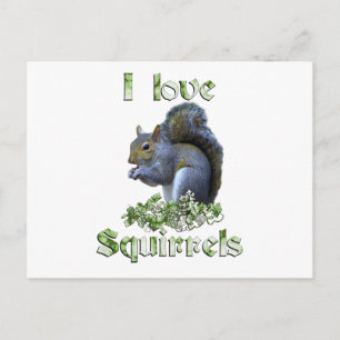 Squirrel Love Briefkaart