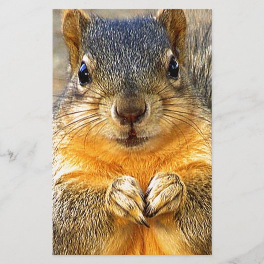 Squirrel Love_ Briefpapier (Voorkant)