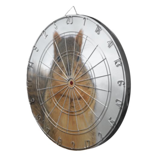 Squirrel Love Dartbord (Voorkant Rechts)