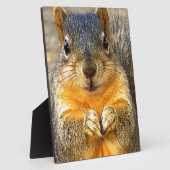 Squirrel Love_ Fotoplaat (Zijkant)