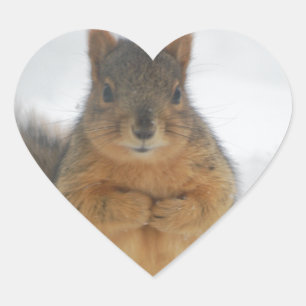 Squirrel Love Hart Sticker