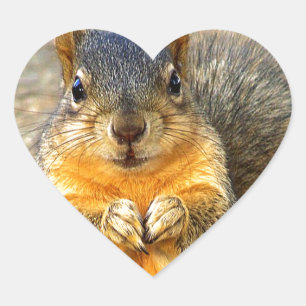 Squirrel Love_ Hart Sticker
