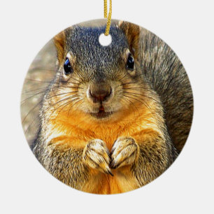 Squirrel Love_ Keramisch Ornament