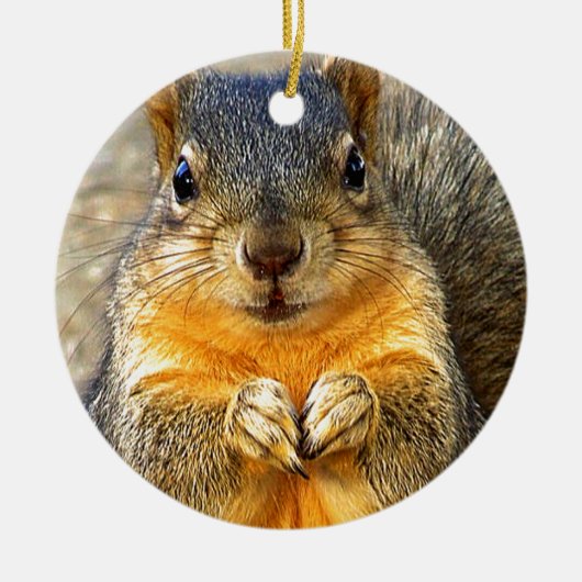 Squirrel Love_ Keramisch Ornament (Voorkant)