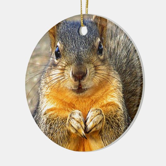 Squirrel Love_ Keramisch Ornament (Links)
