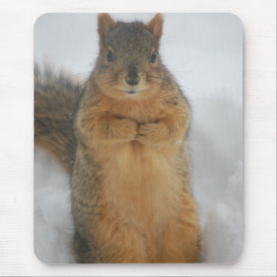 Squirrel Love Muismat