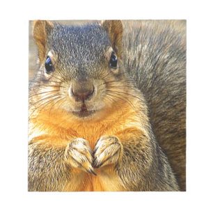 Squirrel Love_ Notitieblok