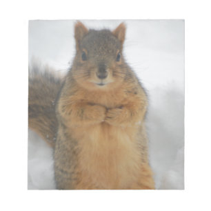 Squirrel Love Notitieblok