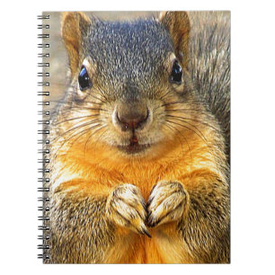 Squirrel Love_ Notitieboek