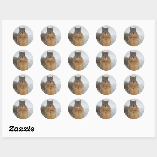 Squirrel Love Ronde Sticker (Vel)