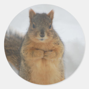 Squirrel Love Ronde Sticker