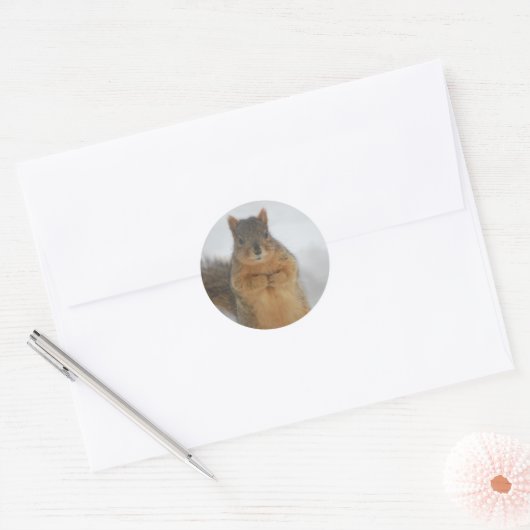 Squirrel Love Ronde Sticker (Envelop)