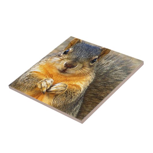 Squirrel Love_ Tegeltje (Zijkant)