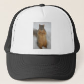 Squirrel Love Trucker Pet (Voorkant)