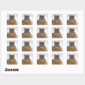 Squirrel Love Vierkante Sticker (Vel)
