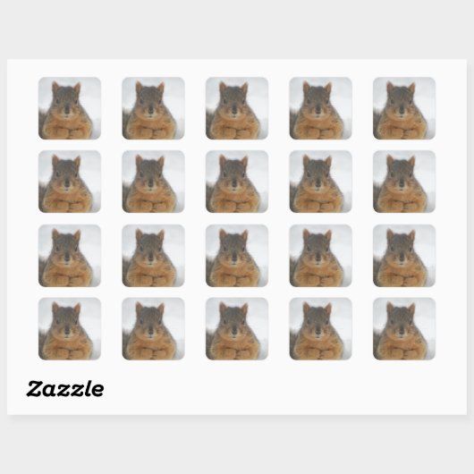 Squirrel Love Vierkante Sticker (Vel)