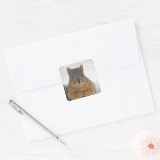 Squirrel Love Vierkante Sticker (Envelop)