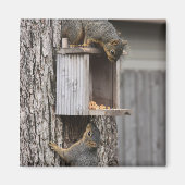 Squirrel Magnet (Voorkant)