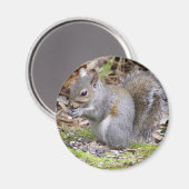 Squirrel Magnet (Voorkant / Achterkant)