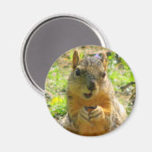 Squirrel Magnet (Voorkant / Achterkant)