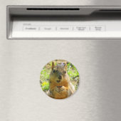 Squirrel Magnet (Insitu (Vaatwasser))