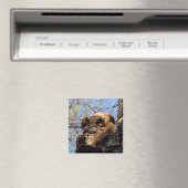 Squirrel Magnet (Insitu (Vaatwasser))