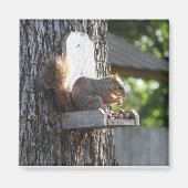Squirrel Magnet (Voorkant)