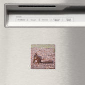 Squirrel Magnet (Insitu (Vaatwasser))