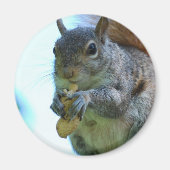 Squirrel Magnet (Voorkant)
