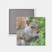 Squirrel Magnet (Voorkant / Achterkant)