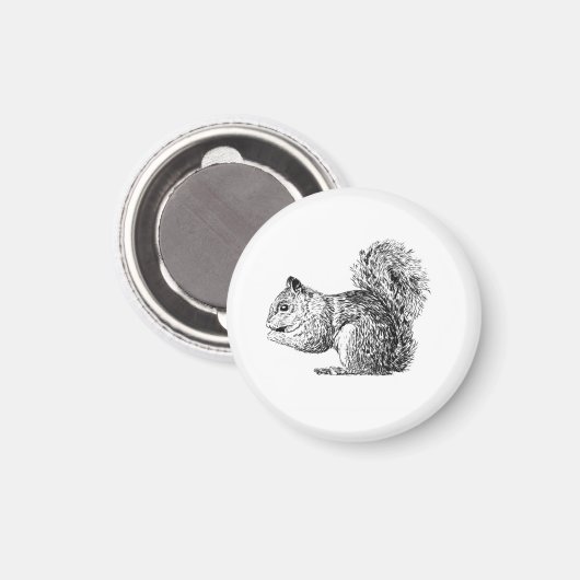 Squirrel Magnet (Voorkant / Achterkant)