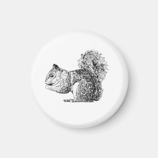 Squirrel Magnet (Voorkant)