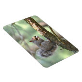 Squirrel Magnet Magneet (Rechterzijde)