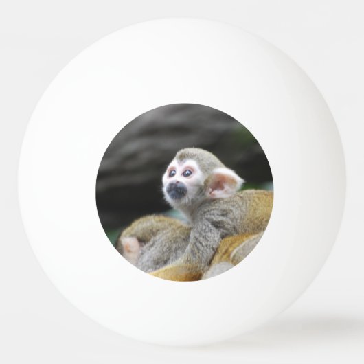 squirrel-monkey-39.jpg pingpongbal (Voorkant)