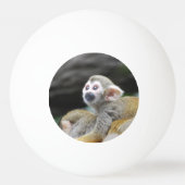 squirrel-monkey-39.jpg pingpongbal (Achterkant)