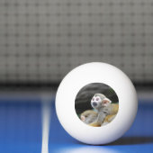 squirrel-monkey-39.jpg pingpongbal (Net)