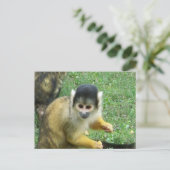Squirrel Monkey Briefkaart (Staand voorkant)