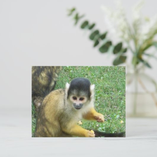 Squirrel Monkey Briefkaart (Staand voorkant)
