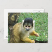 Squirrel Monkey Briefkaart (Voorkant / Achterkant)